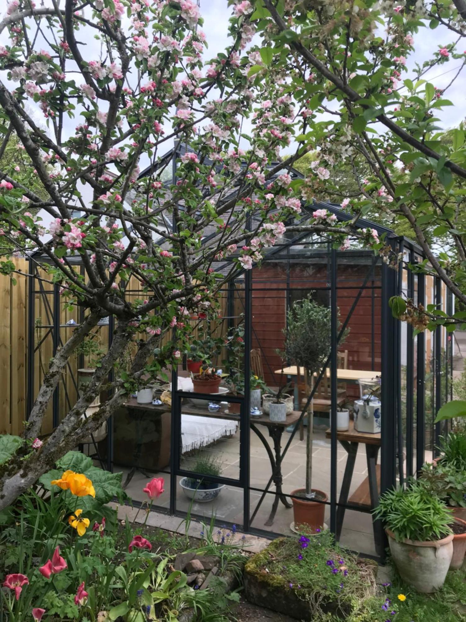אינברנס City Central Quiet Garden Apartment With Free Parking מראה חיצוני תמונה